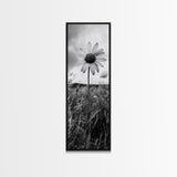 Single Daisy Bloom, Minimalist Botanical, Black White Flower, Framed Canvas Print, Nature Inspired Art, Bedroom Wall Decor, Modern Farmhouse