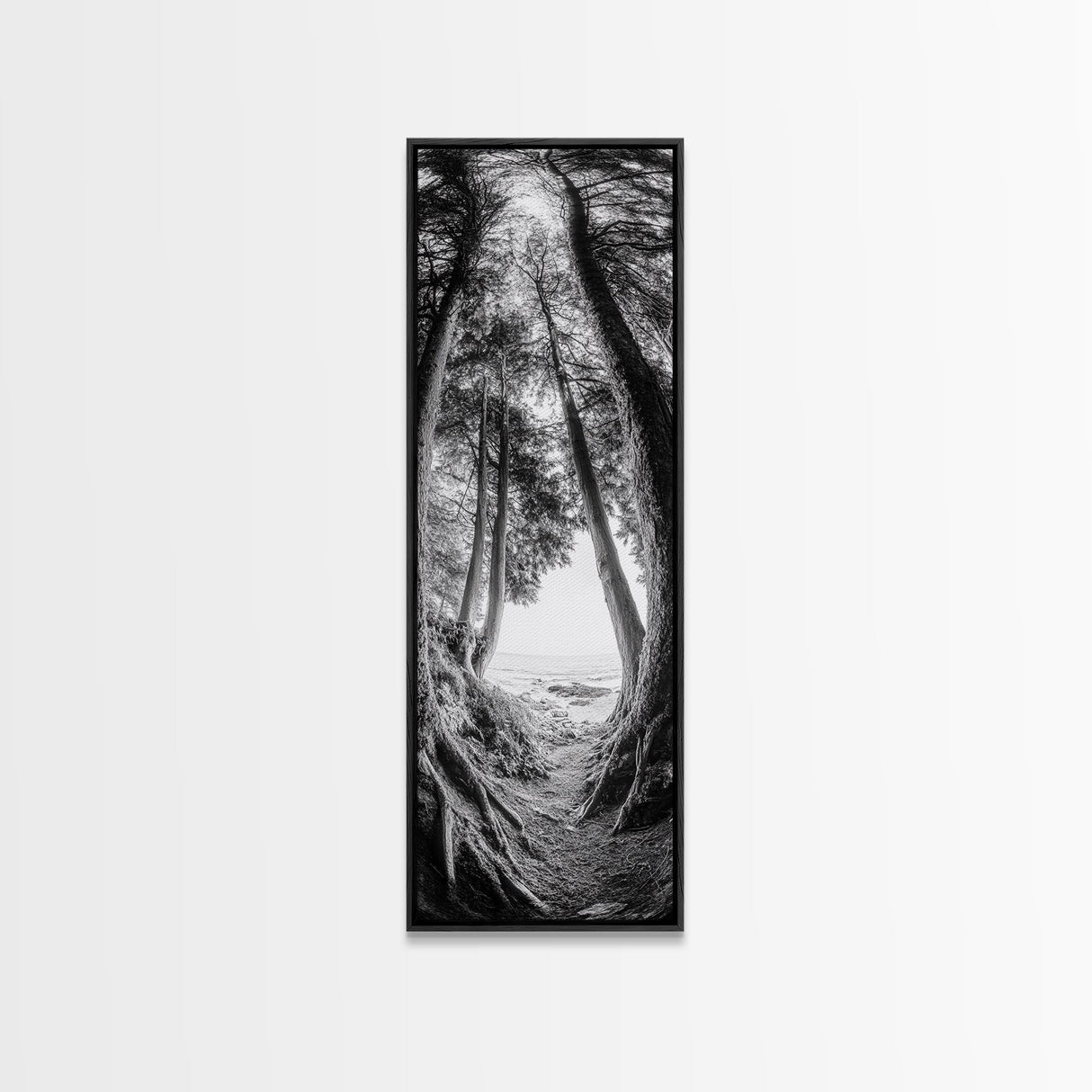 Forest Path, Ocean View, Tall Trees, Canvas Print, Black and White Nature Art, Entryway Wall Art, Rustic Woodland Aesthetic, Bedroom Wall Art