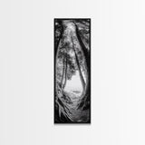 Forest Path, Ocean View, Tall Trees, Canvas Print, Black and White Nature Art, Entryway Wall Art, Rustic Woodland Aesthetic, Bedroom Wall Art