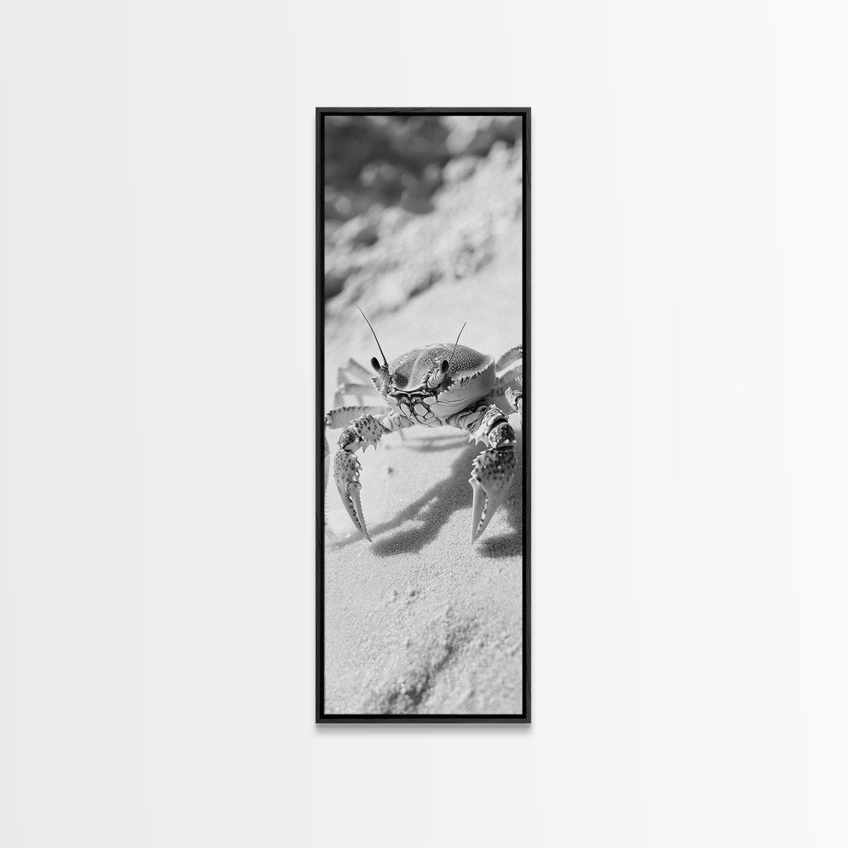 Sand Crab, Coastal Vibes, Beach Creature, Desert Aesthetic, Monochrome Wall Art, Canvas Print, Boho Bathroom Decor, Ocean Life Artwork