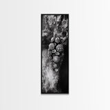 Tide Pool Life, Sea Creatures, Textured Nature, Ocean Details, Shell Art, Framed Canvas Print, Bathroom Wall Art, Coastal Boho Vibes