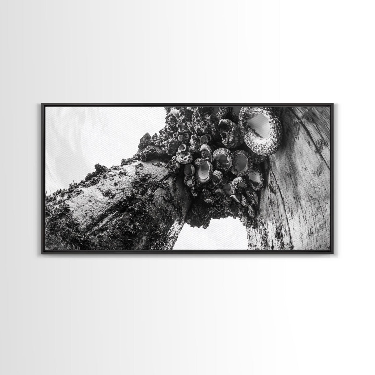 Coastal Texture, Tidepool Abstract, Modern Ocean Nature, Framed Canvas Print, Bathroom Wall Art, Marine Minimalist Photography