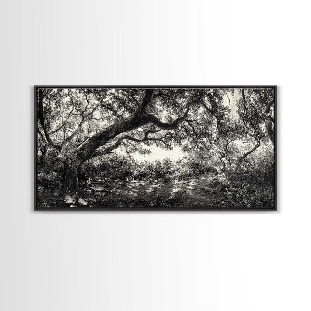Twisted Forest Canopy, Ancient Trees, Mystical Woodland, Canvas Print, Boho Living Room Art, Black and White Nature Print, Cabin Decor