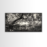 Twisted Forest Canopy, Ancient Trees, Mystical Woodland, Canvas Print, Boho Living Room Art, Black and White Nature Print, Cabin Decor