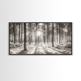 Winter Pine Forest, Sunlight Snow Trees, Nature Landscape Photography, Framed Canvas Print, Cabin Decor, Minimalist Wall Art