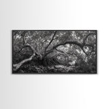 Mangrove Roots, Twisted Forest, Wild Nature, Moody Jungle, Framed Canvas Print, Rustic Living Room Art, Woodland Decor, Boho Vibes