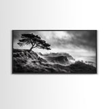 Lone Tree, Foggy Cliffs, Dramatic Landscape, Moody Sky, Framed Canvas Print, Nature Wall Art, Cabin Decor, Autumn Coastal Vibes