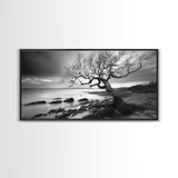 Coastal Tree, Tidal Shore, Windswept Beauty, Natural Balance, Framed Canvas Print, Bedroom Wall Art, Boho Decor, Serene Seascape