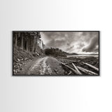 Forest Ocean Trail, Stormy Beach Scene, Driftwood Pathway, Framed Canvas Print, Cabin Entryway or Nature-Inspired Living Room Art