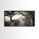 Ocean Cliff Path, Framed Trail Trees, Coastal Escape Scene, Framed Canvas Print, Boho Bedroom or Peaceful Hallway Wall Art, Entryway Accent