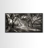 Oak Tree Path, Autumn Forest Glow, Nature Trail Photography, Framed Canvas Print, Hallway Wall Art, Earthy Decor, Woodland Art