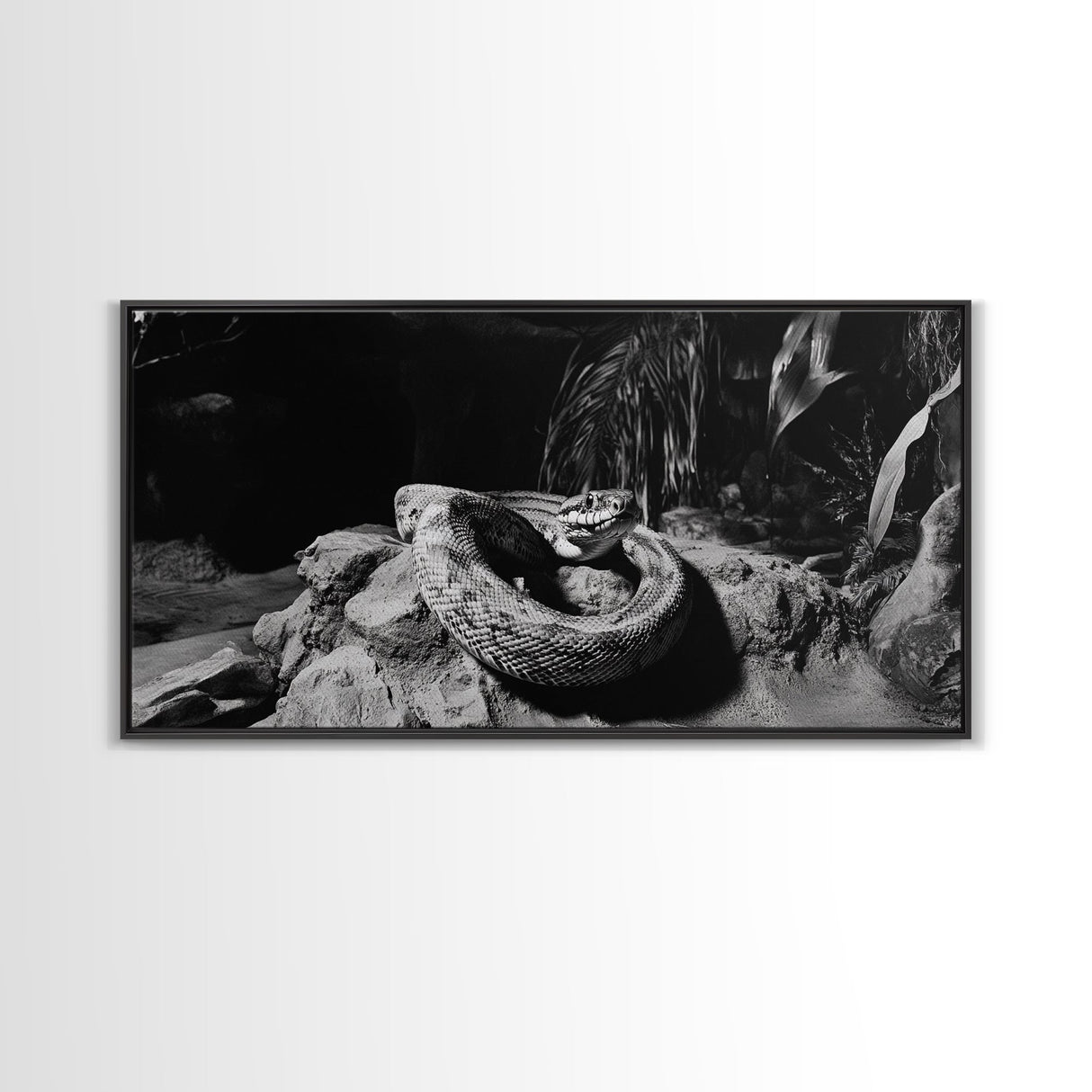 Jungle Snake Scene, Reptile Animal Art, Bold Black and White, Framed Canvas Print, Wildlife Decor, Man Cave or Study Wall Art