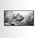 Underwater Fish, Nature Photography, Lake Life Scene, Freshwater Animal, Framed Canvas Print, Bathroom Wall Art, Minimalist Decor