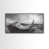 Driftwood Horn Curve, Coastal Nature Art, Whale Bone Decor, Beachside Minimalism, Canvas Print, Entryway Wall Art, Nautical Rustic Decor