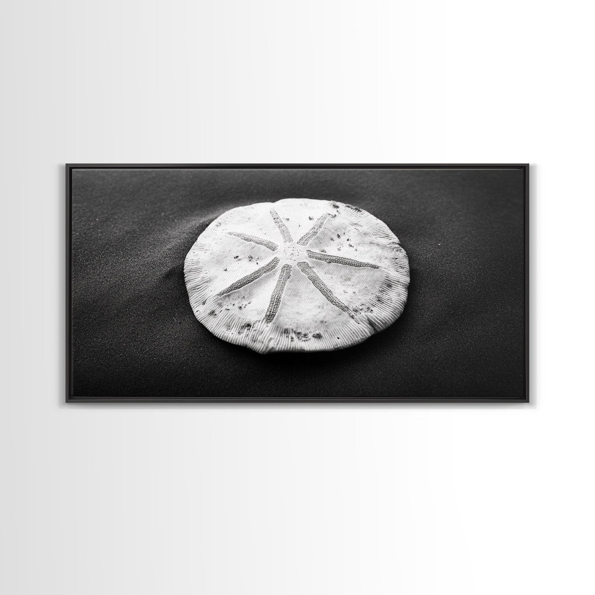 Sand Dollar, Beach Detail, Minimalist Sea, Calm Nature, Framed Canvas Print, Bathroom Wall Art, Coastal Boho Decor, Ocean Zen Style