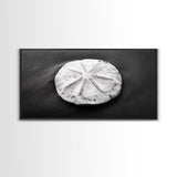 Sand Dollar, Beach Detail, Minimalist Sea, Calm Nature, Framed Canvas Print, Bathroom Wall Art, Coastal Boho Decor, Ocean Zen Style