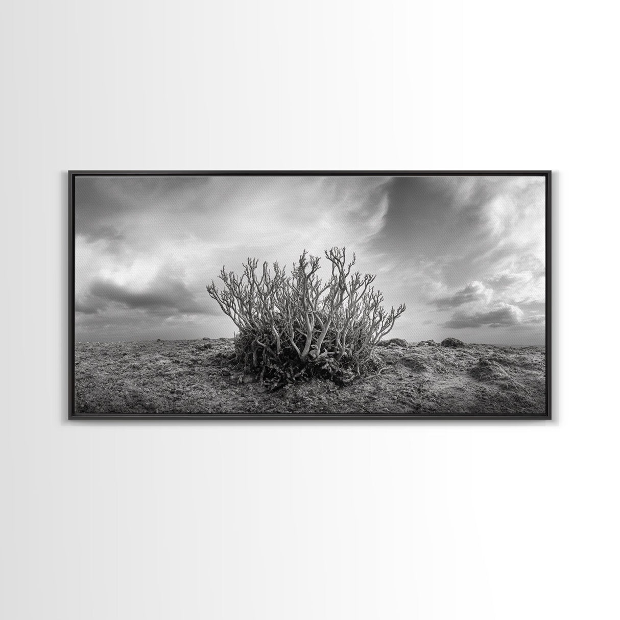 Desert Coral Plant, Dry Earth Botanical, Surreal Nature Texture, Minimal Wild Scene, Canvas Print, Office Wall Art, Earthy Decor
