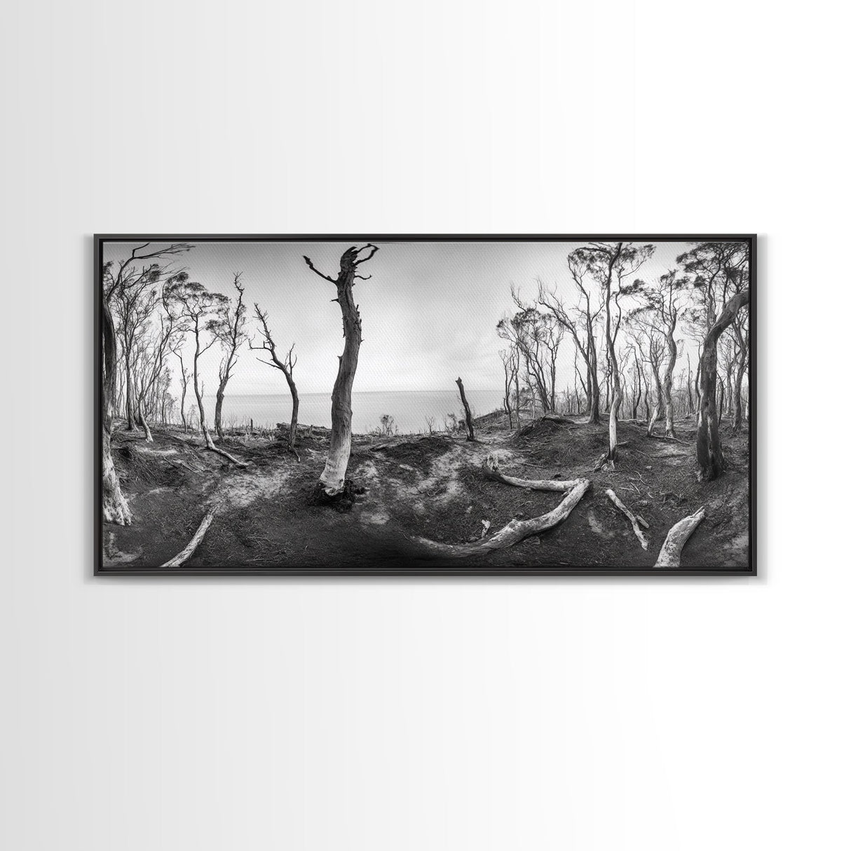 Burnt Forest, Moody Trees, Coastal Landscape, Nature Scene, Framed Canvas Print, Rustic Wall Art, Boho Decor, Fall Home Aesthetic