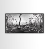 Burnt Forest, Moody Trees, Coastal Landscape, Nature Scene, Framed Canvas Print, Rustic Wall Art, Boho Decor, Fall Home Aesthetic