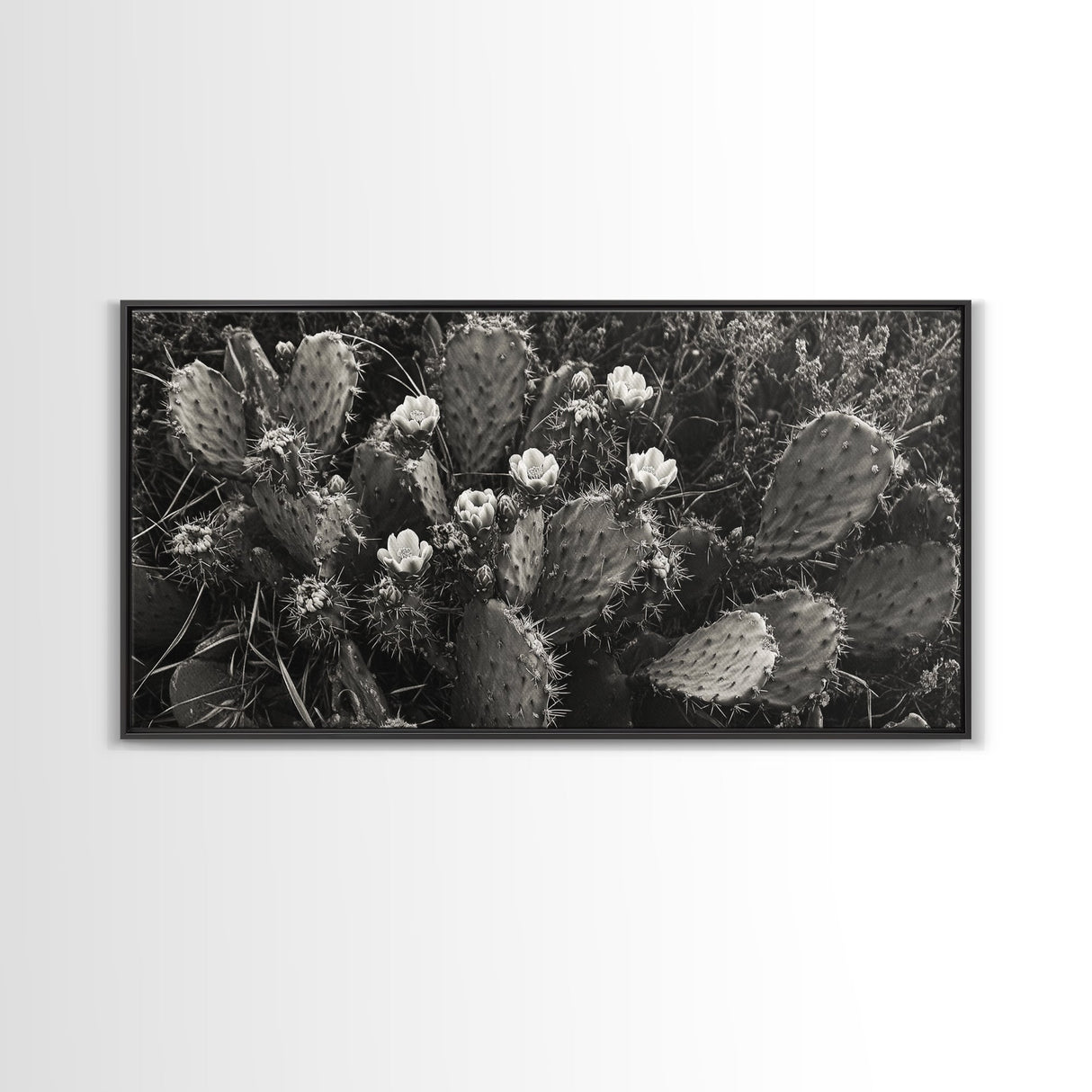 Cactus Blooms, Desert Flowers, Prickly Pear, Nature Closeup, Framed Canvas Print, Southwestern Art, Kitchen Wall Art, Boho Style
