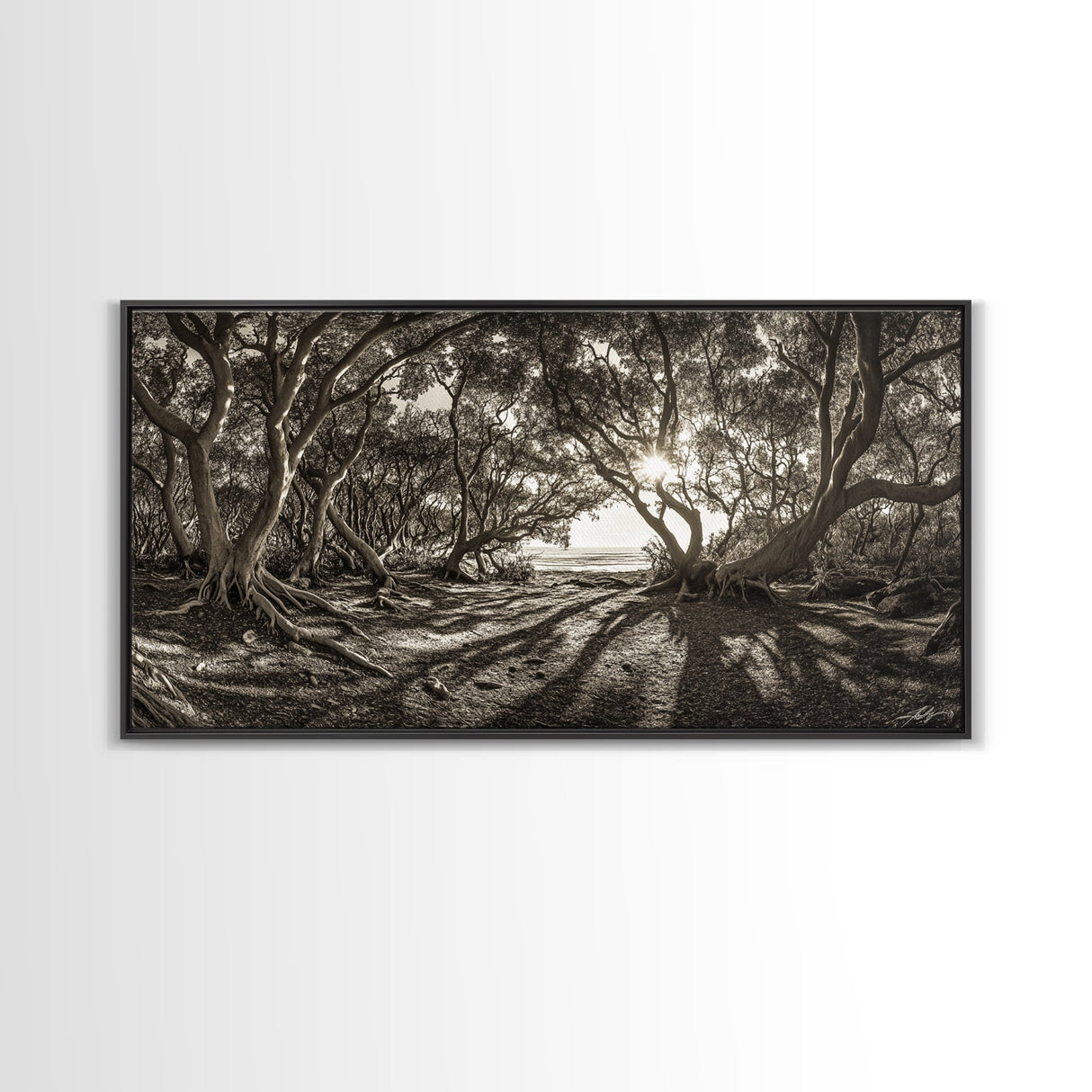 Enchanted Forest Light, Tree Shadows, Nature Landscape, Framed Canvas Print, Rustic Wall Art, Entryway Woodland Decor, Boho Forest Print
