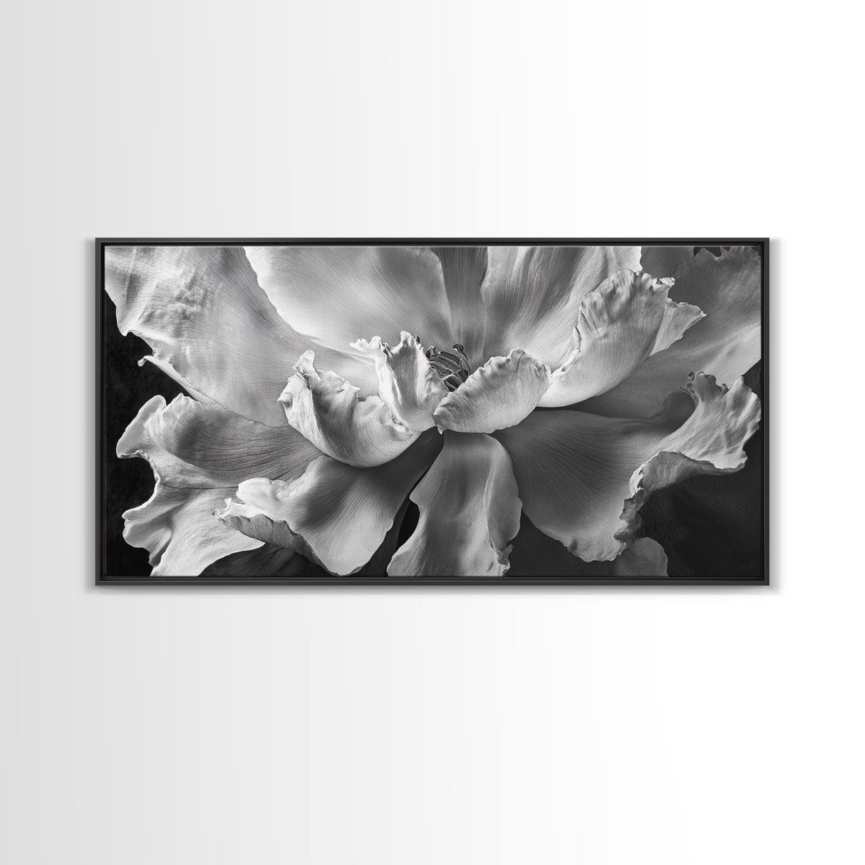 Floral Closeup, Petal Texture, Macro Bloom, Canvas Print, Botanical Bedroom Wall Art, Black And White Flower, Modern Nature Photography