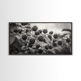 Blackberries on Vine, Farmhouse Kitchen Art, Rustic Fruit Wall Decor, Country Style, Autumn Botanical Photography, Canvas Print