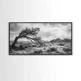 Twisted Tree, Desert Landscape, Surreal Nature, Canvas Print, Rustic Western Decor, Living Room Wall Art, Moody Earth Tones, Fall Aesthetic