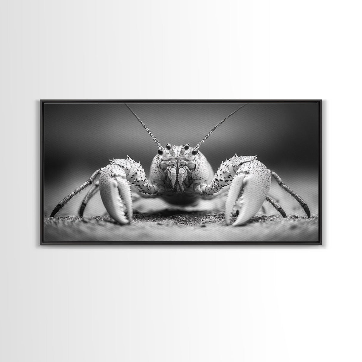 Hermit Crab, Close-Up, Ocean Creature, Monochrome Nature, Framed Canvas Print, Marine Wall Decor, Coastal Kitchen Wall Art, Entryway Accent