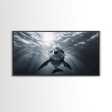 Underwater Dolphin, Ocean Wildlife Art, Marine Animal Decor, Coastal Vibes, Canvas Print, Bathroom Wall Art, Nautical Themed Room