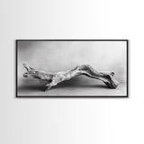 Driftwood Sculpture, Organic Modern Art, Natural Wood Texture, Neutral Decor, Framed Canvas Print, Bedroom or Living Room Wall Art