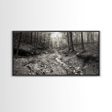 Forest Stream, Tranquil Woodland Path, Autumn Nature Photography, Framed Canvas Print, Rustic Cabin Decor, Living Room Wall Art