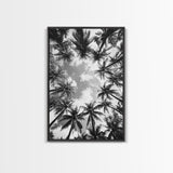 Palm Tree Sky, Tropical Canopy, Black and White Island View, Jungle Overhead Scene, Framed Canvas Print, Bathroom Wall Art, Beach Boho Decor