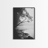 Misty Tree, Shoreline Fog, Forest Edge, Moody Atmosphere, Framed Canvas Print, Bedroom Wall Art, Autumn Woodland Style, Serene Nature Decor