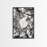 Forest Canopy View, Tree Tops Art, Nature Sky Print, Framed Canvas Print, Bedroom Wall Art, Minimalist Nature, Modern Rustic Decor