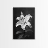 Elegant Lily, Black and White, Floral Beauty, Canvas Print, Botanical Wall Art, Minimalist Art, Bedroom Wall Decor, Nature Photography