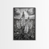 Lupine Flower Field, Bold Floral, Spring Nature Scene, Framed Canvas Print, Boho Living Room Art, Botanical Wall Decor