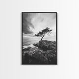 Lone Tree, Cliffside Ocean, Windy Coast Art, Framed Canvas Print, Bedroom Wall Art, Modern Nature Photography, Coastal Minimalist Decor