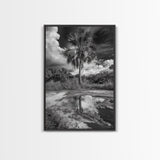 Tropical Palm, Reflected Sky, Nature Tranquility, Canvas Print, boho wall decor, bathroom art, tropical reflection photography
