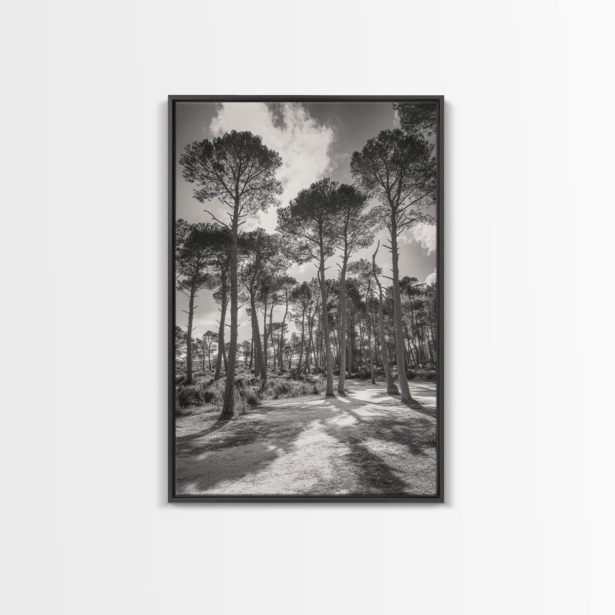 Forest Shadows, Tall Pines, Natural Light, Framed Canvas Print, woodland landscape, rustic cabin decor, autumn forest art