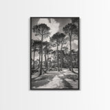 Forest Shadows, Tall Pines, Natural Light, Framed Canvas Print, woodland landscape, rustic cabin decor, autumn forest art