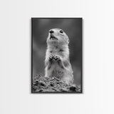 Prairie Dog, Wildlife Watch, Nature Moment, Framed Canvas Print, Whimsical Animal Wall Art, Nursery Decor, Cute Forest Creature