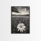 Wildflower Field, Daisy Bloom, Summer Meadow, Framed Canvas Print, Boho Botanical Wall Art, Bedroom Decor, Earthy Nature Photography