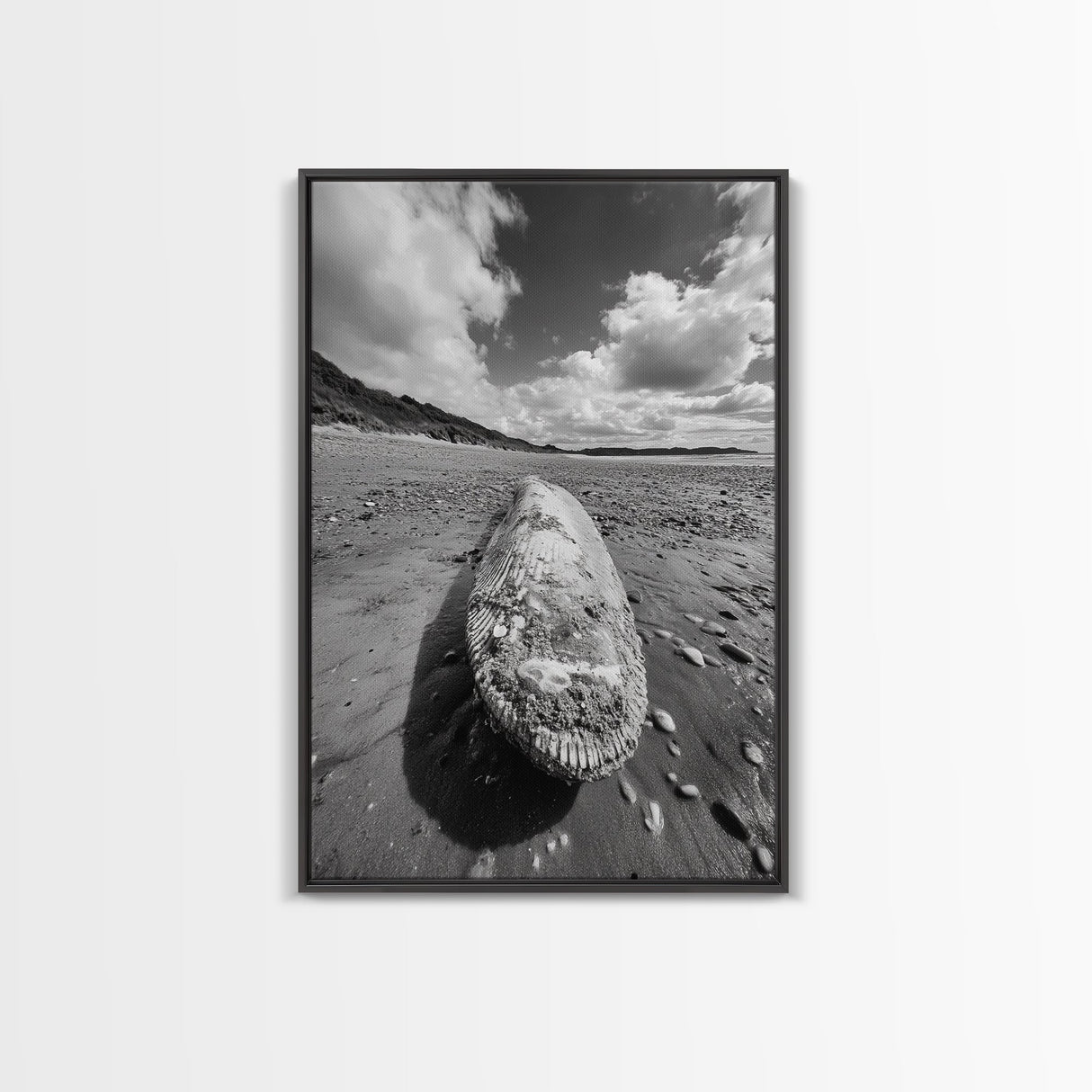 Whale Bone, Coastal Find, Ocean Relic, Framed Canvas Print, Seaside Wall Art, Beach House Decor, Nautical Minimalist Photography