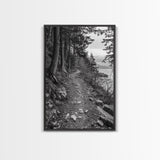 Forest Pathway Trail, Wilderness Escape, Rustic Nature, Black and White Framed Canvas Print, Cozy Cabin or Entryway Wall Art