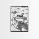 Sand Crab, Beach Macro, Ocean Critter Art, Framed Canvas Print, Coastal Bathroom Decor, Beach House Wall Art, Nature Close-Up