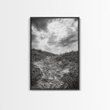 Sandy Trail, Ocean Path, Windy Grass, Moody Sky, Framed Canvas Print, coastal nature photography, hallway decor, rustic neutral art