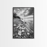 Flower Shore, Peaceful Beach, Moody Sky, Petal Scape, Framed Canvas Print, romantic beach art, bedroom decor, black and white floral print