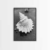 Spiral Shell, Beach Texture, Nature Closeup, Sea Whisper Framed Canvas Print, minimalist beach wall art, boho coastal kitchen decor