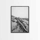 Seaweed Shoreline, Drifted Beauty, Coastal Debris, Tide Echo Framed Canvas Print, ocean nature wall art, minimalist beach decor